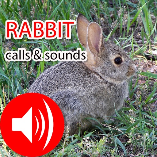 Rabbit Real Hunting Calls & Sounds