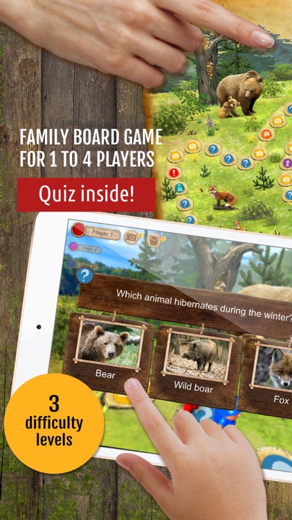 Forest Quest: board game for kids, family, school