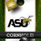 Alabama State Hornets Cornhole