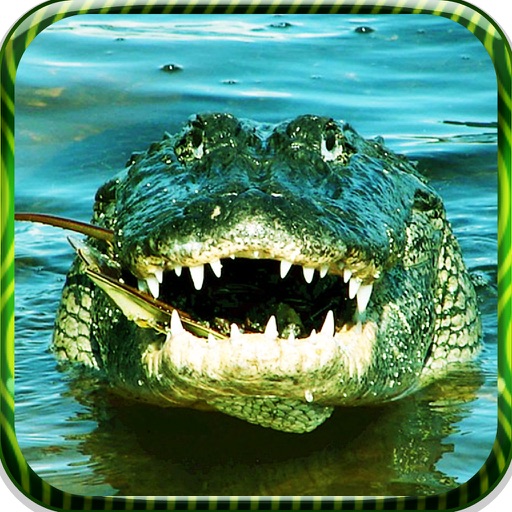 American   Swampy  Alligator Hunting   Pro iOS App