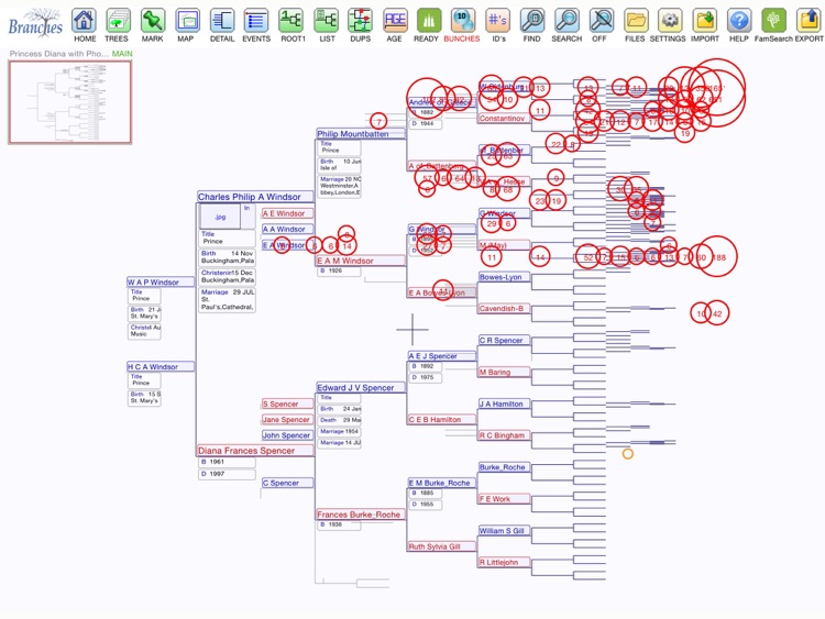 Branches Pro
