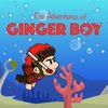 The Adventures of Ginger Boy
