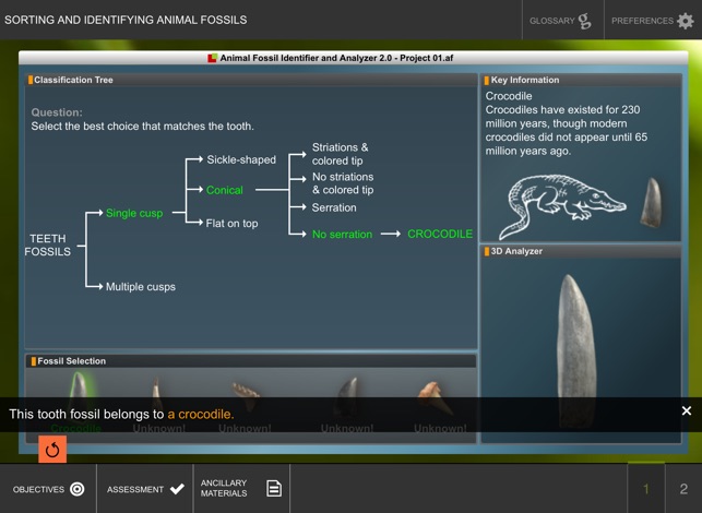 Analysis of Fossil Evidence(圖3)-速報App