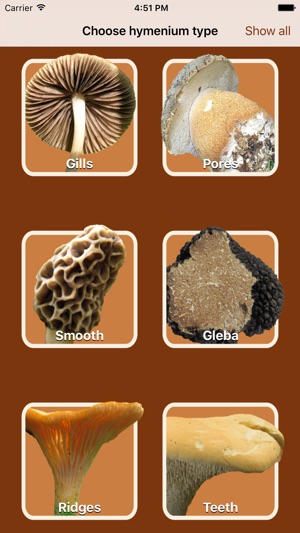 Fungi