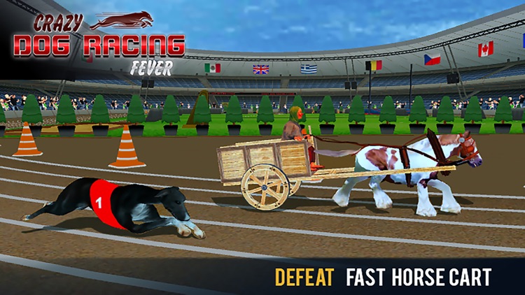 Crazy Dog Racing Fever by Laeeque Ahmad