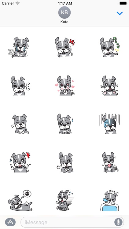 Your Cute Boston Terrier Dog Stickers