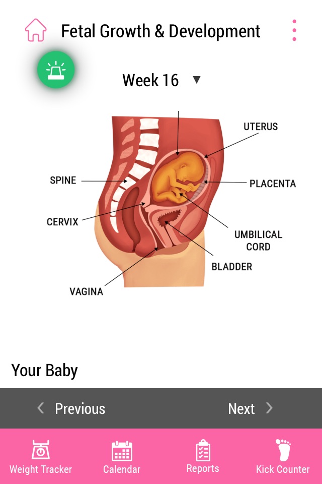 Pregnancy Workout Advisor screenshot 2