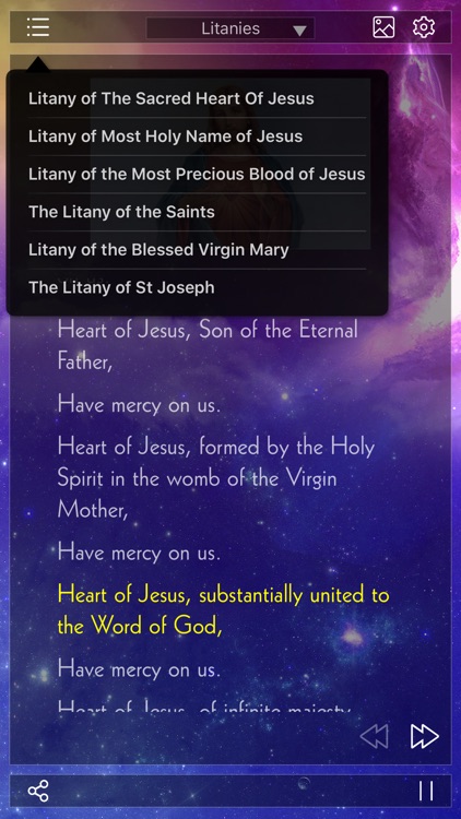 Holy Rosary Audio Deluxe(Rosary and Divine Mercy) screenshot-3