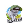 cabbagecatmemes