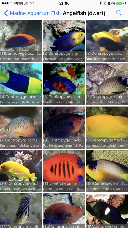 Marine Aquarium Fish screenshot-3