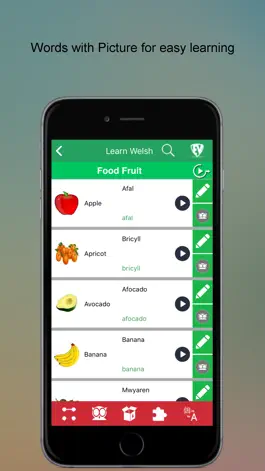 Game screenshot Learn Welsh SMART Guide apk