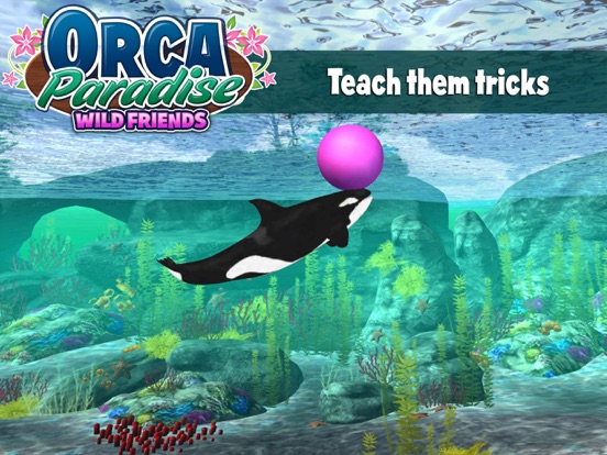 Скачать игру Orca Paradise - All Access