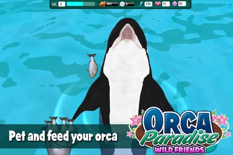 Orca Paradise - All Access screenshot 4