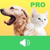 Animal Voices Box Pro - Animal Sounds Library