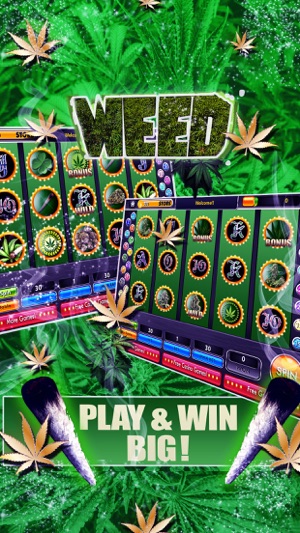 Dream of Weed Slot Machines – Free Slots & Casino(圖1)-速報App