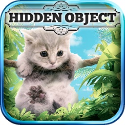 Hidden Object - Cats Island
