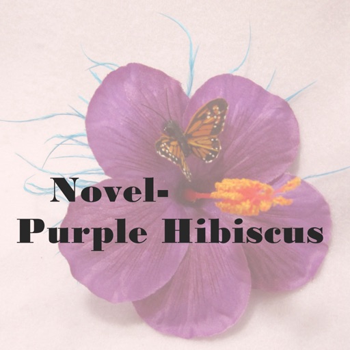 Quick Wisdom from Purple Hibiscus- A Novel