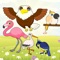 A wonderful game for toddlers and kids with a cute collection of birds