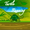 Turtle Running