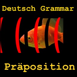 Deutsch Grammar Präpositionen