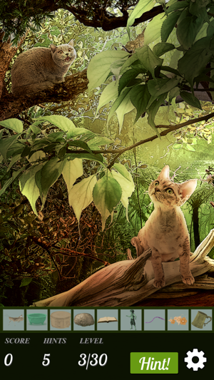 Hidden Object - Cats Island(圖3)-速報App