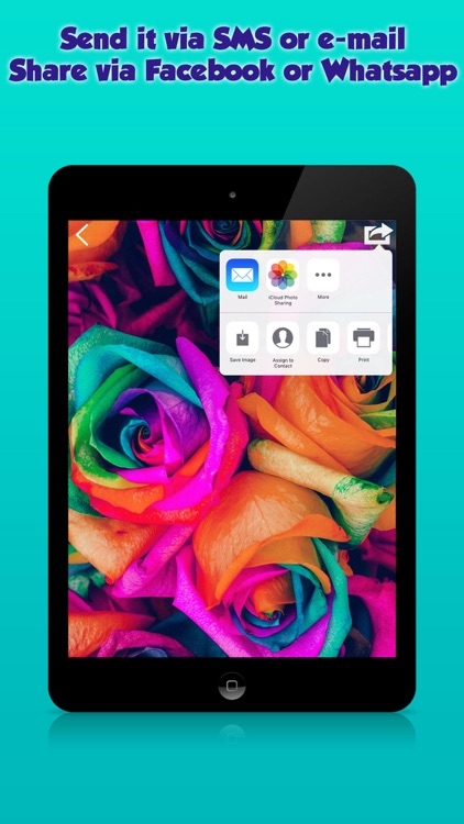 Themes & Wallpapers HD for iPhone, iPod and iPad screenshot-3
