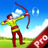 A Fantasy Bow and Arrow Pro