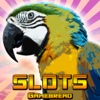 Birds Slot - Free Casino Machines