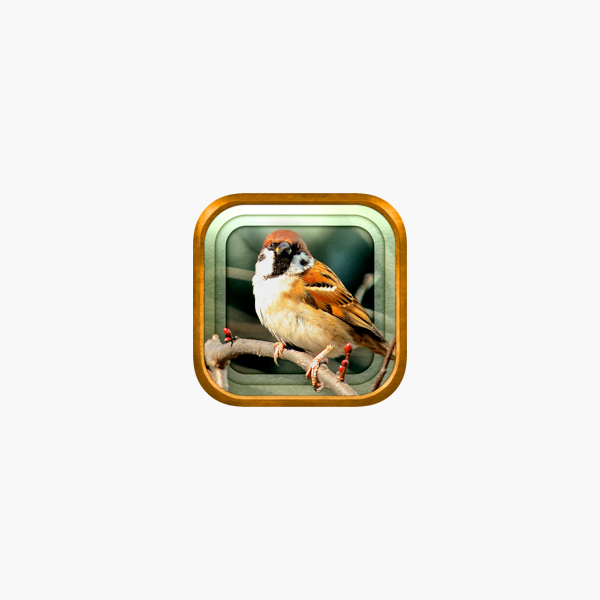 Gps動く野鳥図鑑mini をapp Storeで