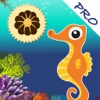 A Seahorse Cookie ! PRO