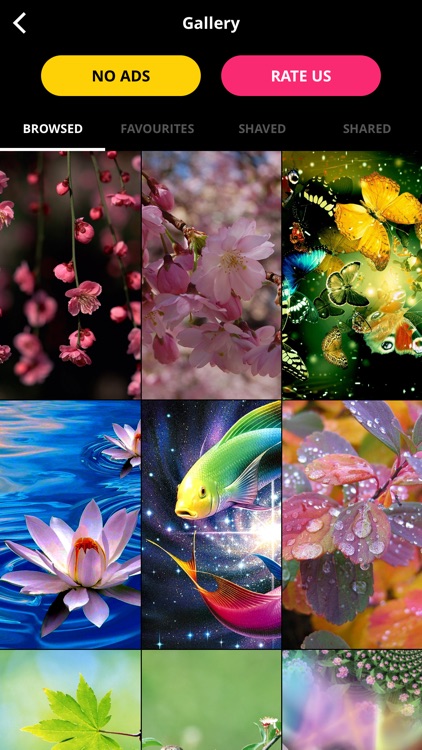 10000+ Wallpapers | FREE Backgrounds & Themes screenshot-4