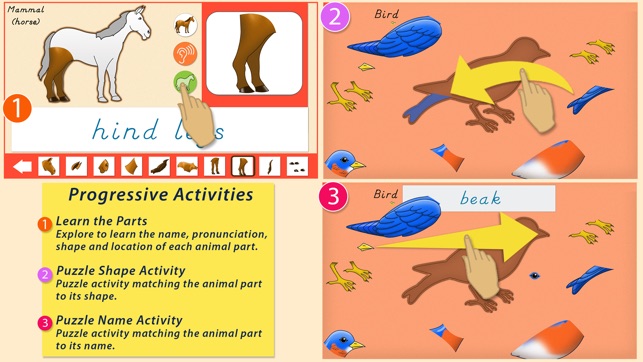 Parts Of Animals Vertebrates - Montessori Zoology(圖3)-速報App