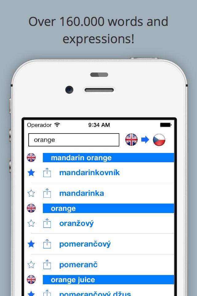 Dictionary English Czech screenshot 3