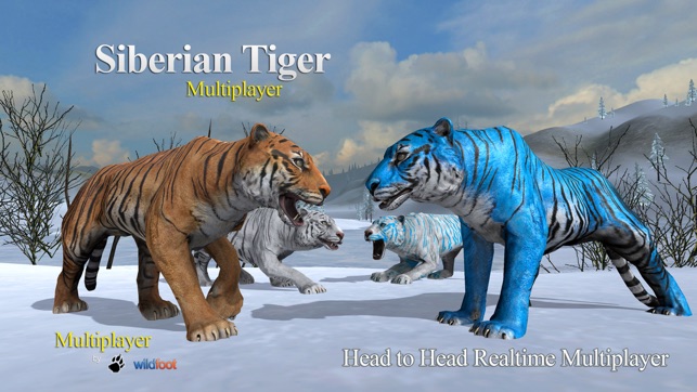 Tiger Multiplayer - Siberia