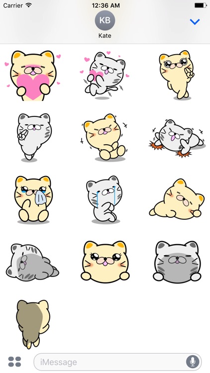 Today nationally cat day