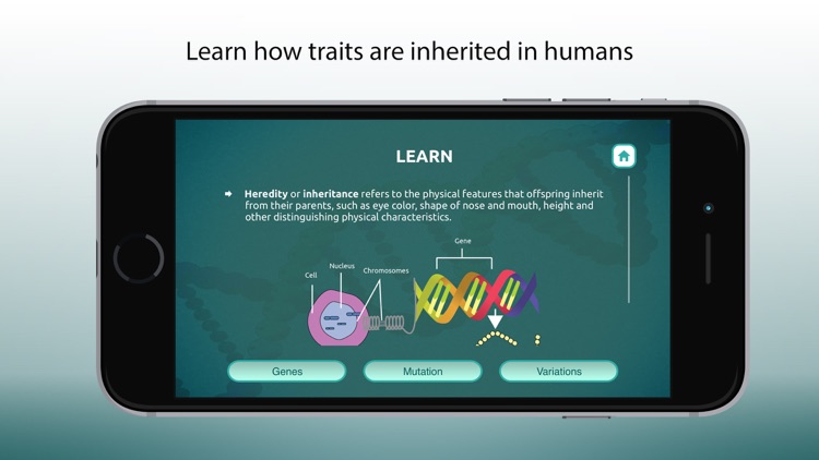 Inheritance Biology