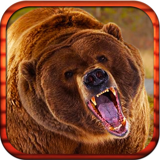 Real Big Bear Bow Island Hunting Survival 3D icon