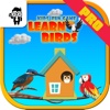 Pro Kids Fun Game Learn Birds