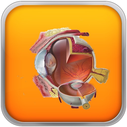 Anatomy Lite iOS App