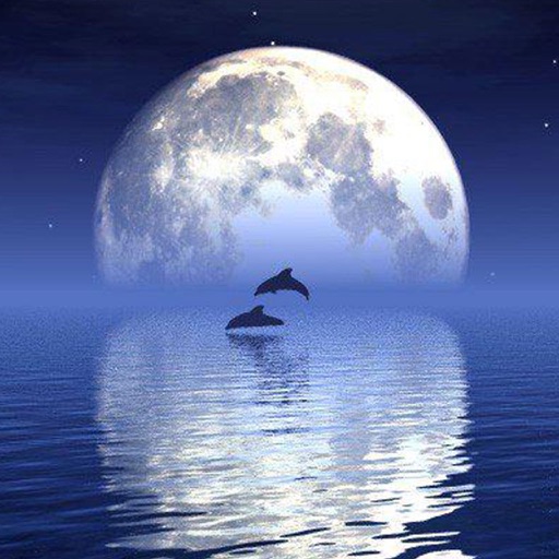 Reflection - Create Water Reflection Photo Arts