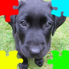 Activities of Puppies (Baby Dogs) Jigsaw Puzzles