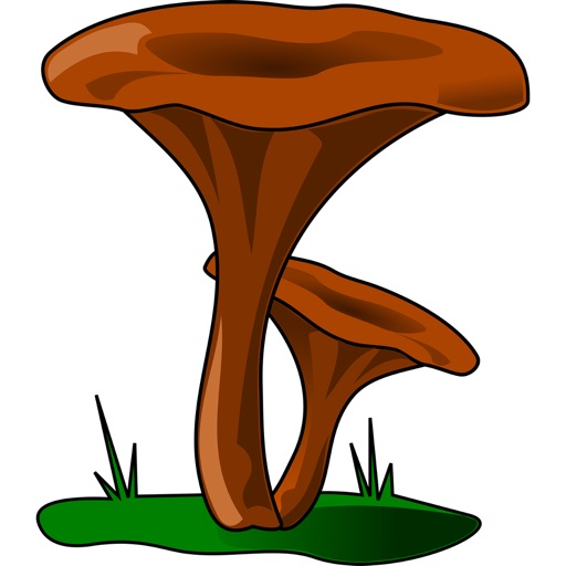 Genera of fungi