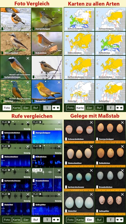 Alle Vögel Österreich - Bestimmen, Identifizieren screenshot-3