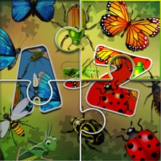 Activities of Jigsaw Puzzle for Insects