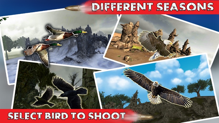 Bird Hunting Season 3D: Real Sniper Shooting 2017 screenshot-4