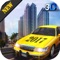 Taxi Parking Simulation & Real Car Driving