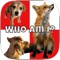 Who Am I - Learn with Animals for Kids