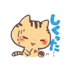 Cute Cats Japanese Kansai Words Vol.2