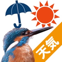 バードウェザー〜綺麗な野鳥と天気予報〜