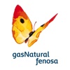 Gas Natural Fenosa